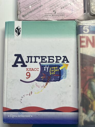 5 плюс 9 класс алгебра: Алгебра,русский язык,английский, геометрия,литература за 9 класс 150