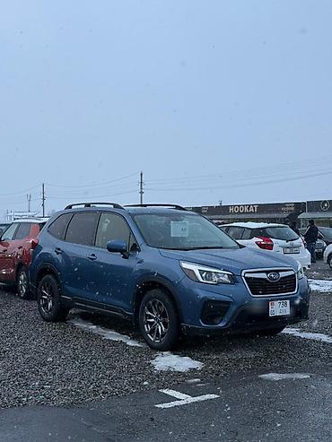 Subaru: Subaru Forester: 2019 г., 2.5 л, Вариатор, Бензин, Кроссовер — 13
