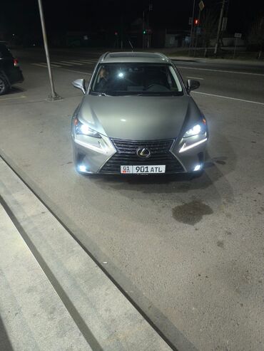 Lexus: Lexus NX: 2020 г., 2 л, Автомат, Бензин, Кроссовер — 5