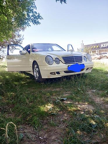 туманки w211: Mercedes-Benz E-Class: 2000 г., 2.2 л, Автомат, Дизель, Седан — 1