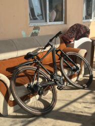 купить велосипед недорого: Yeni velosipeddi 3 ayindi tek problemi(zz)-ni yerine baglamaq lazimdi at lalafo.az купить велосипед недорого: Yeni velosipeddi 3 ayindi tek problemi(zz)-ni yerine baglamaq lazimdi