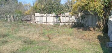 Torpaq sahələrinin satışı: 13 sot, Tikinti, Mülkiyyətçi, Kupça (Çıxarış) — 12