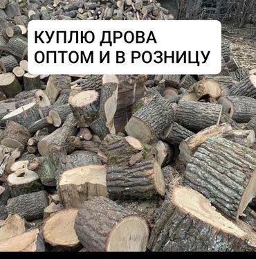 аредага машина: Услуга: закупка древесины и стройдеревянных отходов Куплю: - дрова