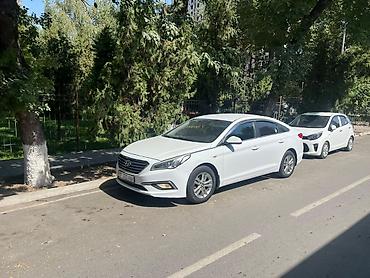 kayo k2: Hyundai Sonata: 2016 г., Седан — 5