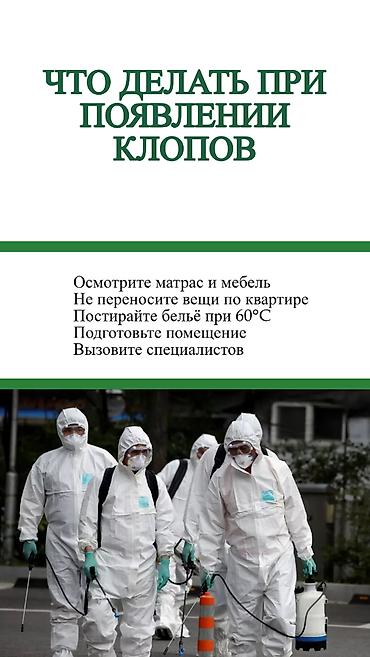 Дезинфекция, дезинсекция: Дезинфекция, дезинсекция, | Клопы, | Транспорт, Офисы, Квартиры — 7