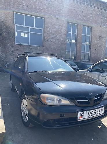 жукили: Nissan Primera: 2000 г., 1.8 л, Механика, Бензин, Универсал — 1