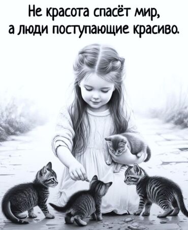 кафе в аренду бишкек: Талап кылынат Бала багуучу, тарбиячынын жардамчысы, Тажрыйбасы бир жылдан аз