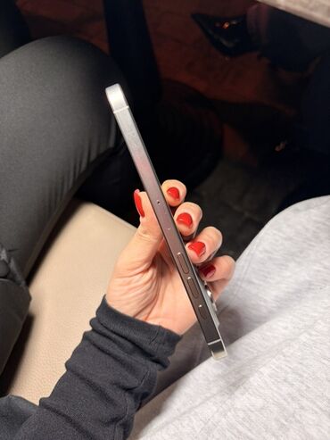 Apple iPhone: IPhone 16 Pro Max, Gümüşü, Face ID — 9