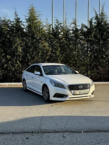 Hyundai Sonata: 2017 г., 2 л, Автомат, Седан