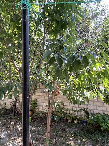 Mənzil kirayələyirəm: Geniş və işıqlı mənzil otaqları - 2ayrı yataq/istirahət otağı: hər — 17