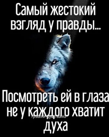 Картины: Постер/картина с цитатой и изображением волка - Дизайн: полупрофиль