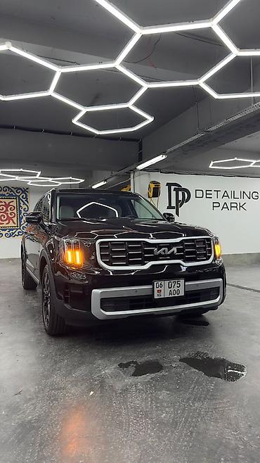 Kia: Kia Telluride: 2024 г., 3.8 л, Автомат, Бензин, Кроссовер — 11