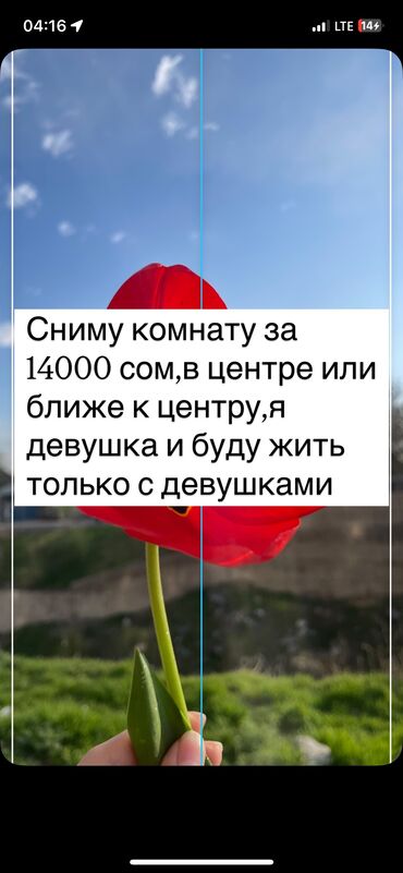 комнату сниму: 10 м², С мебелью