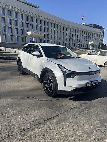 JMEV: JMEV : 2022 г., 3 л, Автомат, Электромобиль, Кроссовер — 2