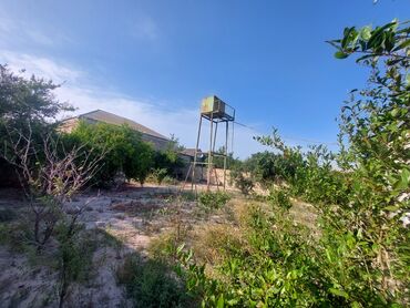 Həyət evləri və villaların satışı: Binə 4 otaqlı, 220 kv. m, Kredit yoxdur, Yeni təmirli -da lalafo.az — 6 Həyət evləri və villaların satışı: Binə 4 otaqlı, 220 kv. m, Kredit yoxdur, Yeni təmirli — 6