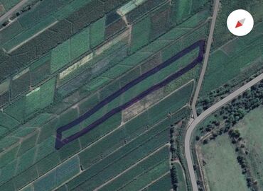 продается орошаемая земля в жайылско районе алтыр будёновка 5 40 гектар цена договорная с довой проблем нету оформление сразу: 200 соток, Айыл чарба үчүн