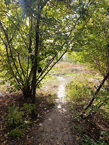 Продажа коттеджей и домов: 📌В селе Беловодское в районе центра продается дом из 4-х комнат на at lalafo.kg — 2 Продажа коттеджей и домов: 📌В селе Беловодское в районе центра продается дом из 4-х комнат на — 2