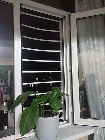 Терезелер үчүн торлор, Буюртмага, Акысыз орнотуу