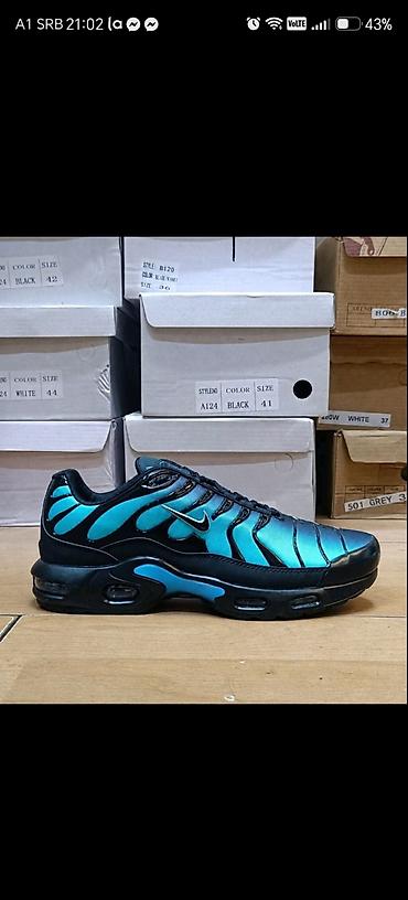 Nike Air Max Plus (TN) patike – više boja - Model: Air Max Plus sa