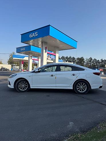 тыко: Hyundai Sonata: 2019 г., 2 л, Автомат, Газ, Седан — 4