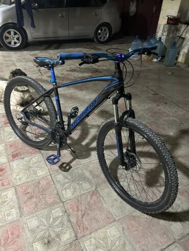 купить спортивный велосипед недорого: Dağ velosipedi Mercury, 29"