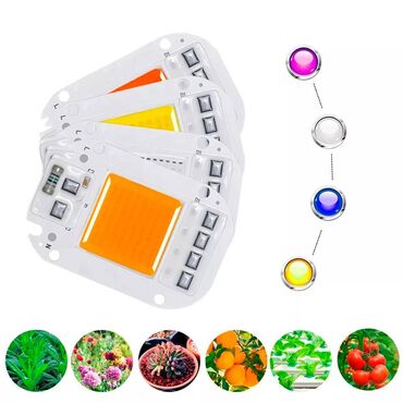 Ostala elektronika: Led Dioda Reflektor 9-12v Dc 10w na Drajver — 6
