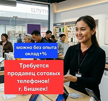 Требуется продавец сотовых телефонов! ДЕВУШКА! г. БИШКЕК! Резюме — 1