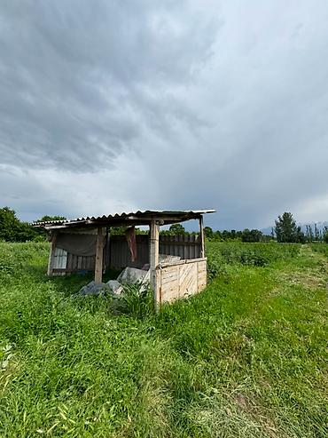 жал село: 155 соток, Для сельского хозяйства, Договор купли-продажи — 6