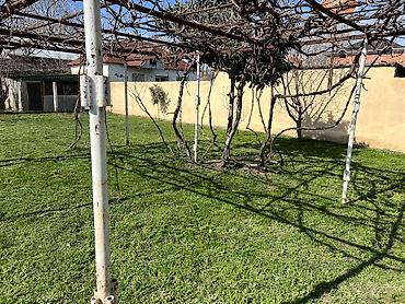 Həyət evləri və villaların satışı: 3 otaqlı, 120 kv. m, Kredit var, Yeni təmirli — 29