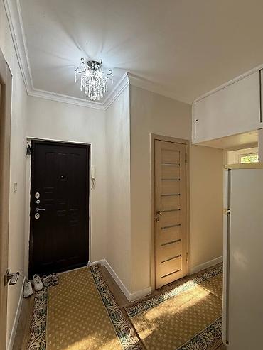 Долгосрочная аренда квартир: 1 комната, Риэлтор — 8