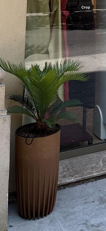 ucuz listurlar: Çılçıraq, 5 lampa, Metal — 3