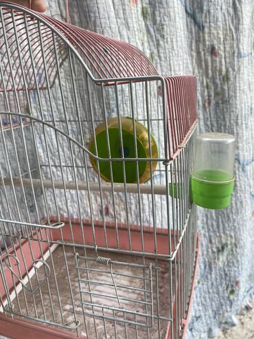 кара балта зил: Клетка для попугаев.Кара Балта