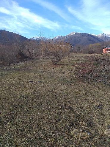 Torpaq sahələrinin satışı: Tikinti — 2