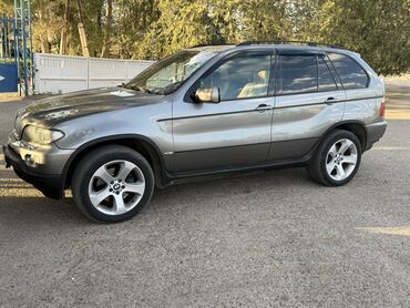 машиналар: BMW X5 (E53), кроссовер 5 дверей, серый металлик. Ключевые