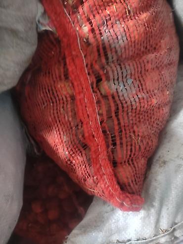 Сухофрукты, орехи, снеки: Сушёный абрикос (урюк/кайса без сиропа) - Натуральная сушка на — 10