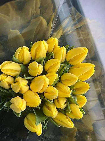 Букеты из живых цветов: Тюльпаны срезанные, свежие, прямые поставки. - Ассортимент — 12