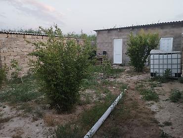 Həyət evləri və villaların satışı: 3 otaqlı, 50 kv. m — 14