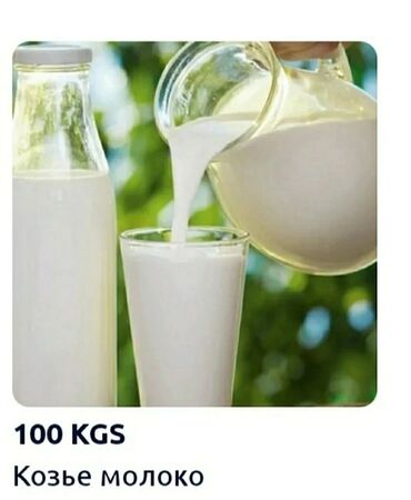 Продаю козье молоко. Вкусно и полезно. Можем до ЦУМа и Аламедин базар