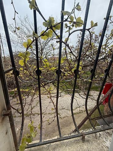 evler bine: Salam,Bina evidi Xeser rayonu Bine qesebesinde yerleşir.117 nömreli — 5
