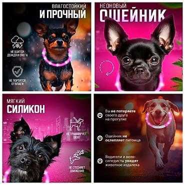 ак мышык: БОЛЬШОЙ ВЫБОР ОМУНИЦИИ ДЛЯ СОБАК,БОЛЬШЕ ИНФОРМАЦИИ И ФОТО СКИДЫВАЮ НА — 9