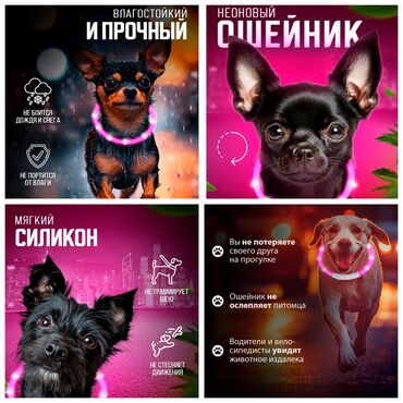 дом для кошек: Продаю светящиеся ошейники для собак,а так же