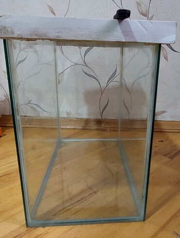 Dördbucaq akvarium, Boş, 32 l, Ödənişli çatdırılma