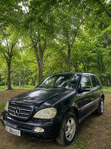 g2 master: Mercedes-Benz ML-Class: 2004 г., 2.7 л, Автомат, Дизель, Внедорожник — 1