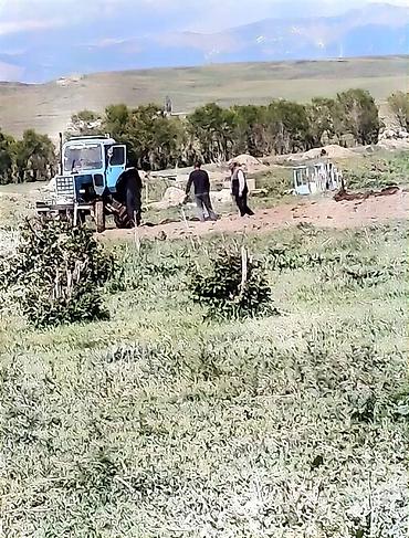 Тракторы МТЗ (Беларус): Модель: Другие тракторы МТЗ, Б/у, 1987 г., Трактор с другими агрегатами — 6