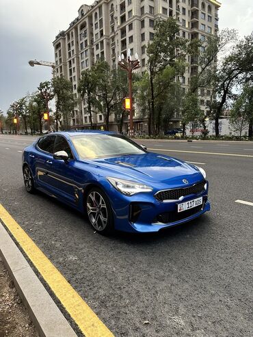 жаны машина: Kia : 2019 г., 2 л, Автомат, Бензин