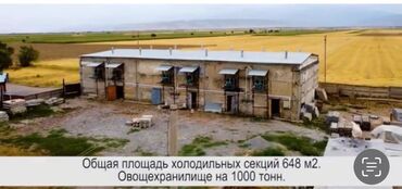 дом ысык кол: Сдаю ;Овощехранилище с холодильными секциями - Вместимость: до 1000