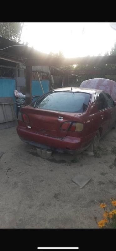 bye e2: Nissan Almera (седан), красный цвет, кузов P11. Описание: - — 2