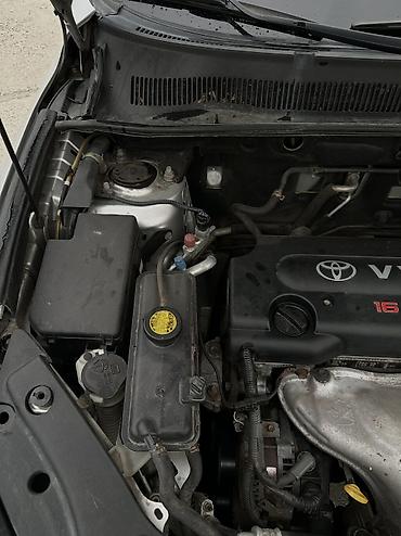 rav4 2024: Toyota RAV4: 2006 г., 2 л, Автомат, Бензин, Кроссовер — 8