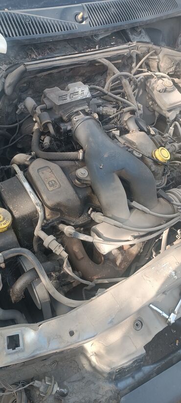 Двигатели, моторы и ГБЦ: Бензиновый мотор Ford 1992 г., 1.6 л, Б/у, Оригинал, Германия