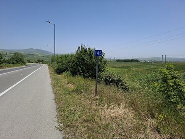 yevlaxda satılan evlər: 45 sot, Biznes üçün